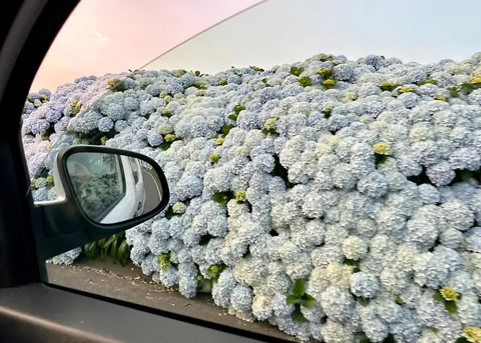 Anna Splendid Sunset Ocean Front * Mosteiros (Azores)