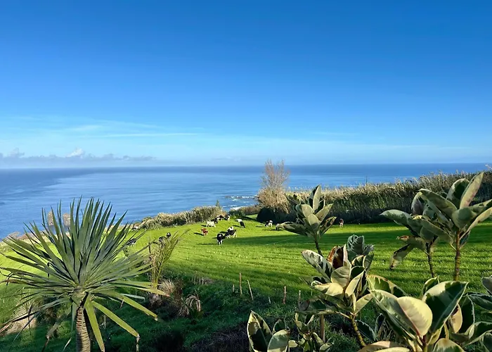 Anna Splendid Sunset Ocean Front