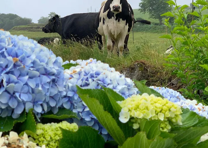 Anna Splendid Sunset Ocean Front Villa Mosteiros (Azores)